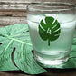 Reusable Palm Leaf Drink Labels (Set of 12)